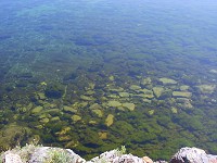 Transparency of lake Baikal water